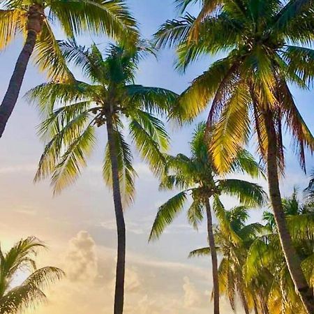 Vc Beach Suites อิสลามูเฮเรส ภายนอก รูปภาพ